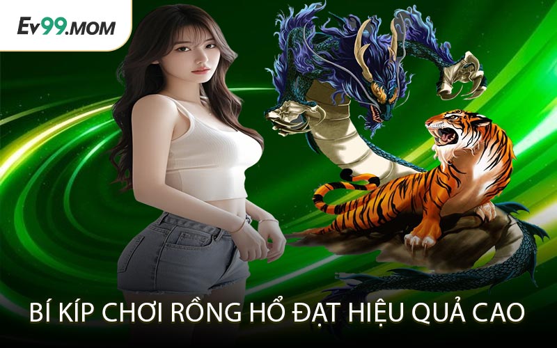 Bí Kíp Chơi Rồng Hổ Đạt Hiệu Quả Cao