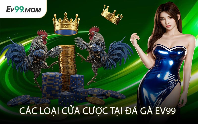 Các Loại Cửa Cược Tại Đá Gà Ev99