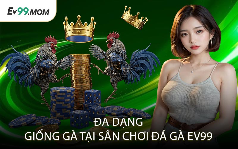 Đa Dạng Giống Gà Tại Sân Chơi Đá Gà Ev99