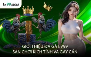 Giới Thiệu Đá Gà Ev99 – Sân Chơi Kịch Tính Và Gay Cấn