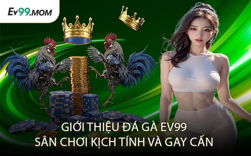 Giới Thiệu Đá Gà Ev99 – Sân Chơi Kịch Tính Và Gay Cấn