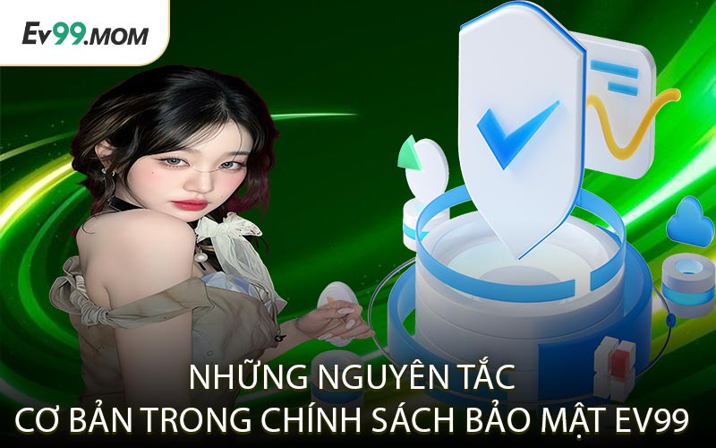 Những Nguyên Tắc Cơ Bản Trong Chính Sách Bảo Mật Ev99