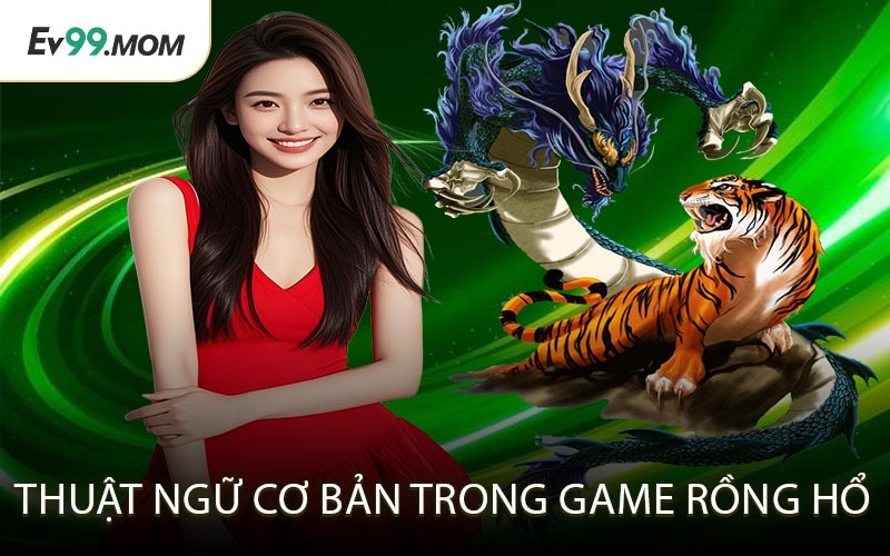 Thuật ngữ cơ bản trong game Rồng Hổ