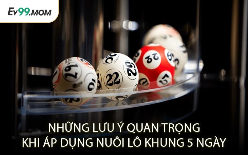Những Lưu Ý Quan Trọng Khi Áp Dụng Nuôi Lô Khung 5 Ngày